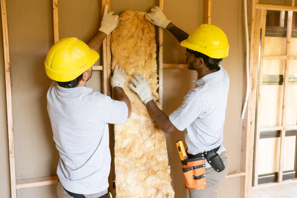 Best Basement Insulation  in Atkinson, IL